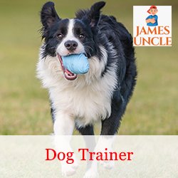 Dog trainer Mr. Debankur Das in Ganganagar